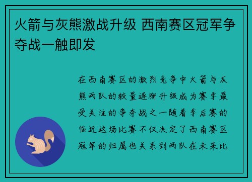 火箭与灰熊激战升级 西南赛区冠军争夺战一触即发